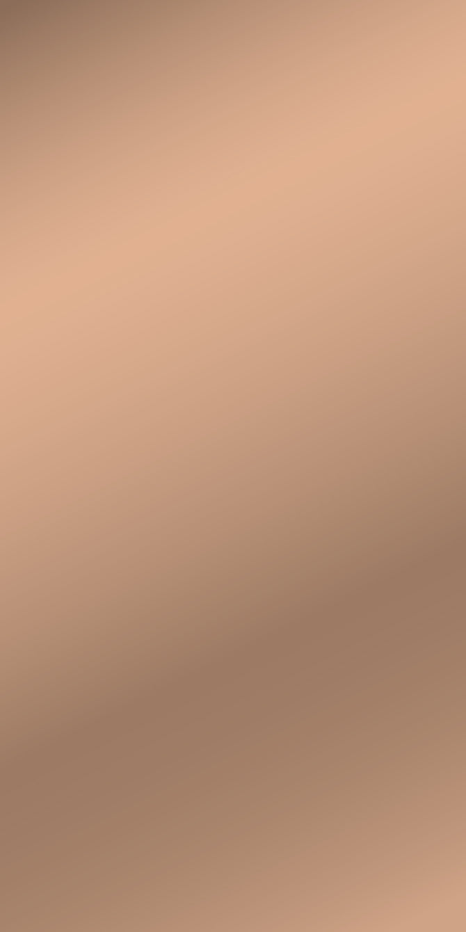 L7381Aluminium Mirror Bronze