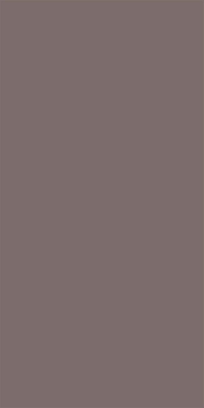 L8308Silky Matte Taupe