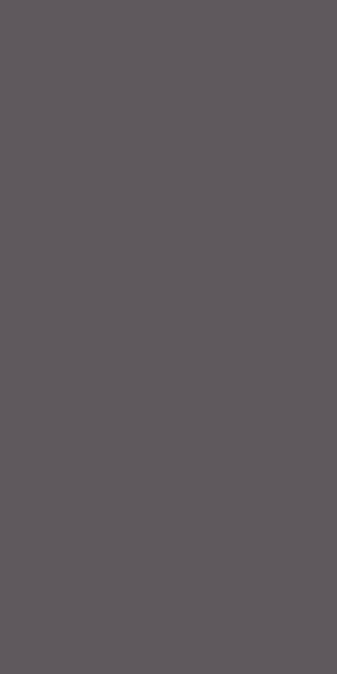 L8318Silky Matte Steel Gray