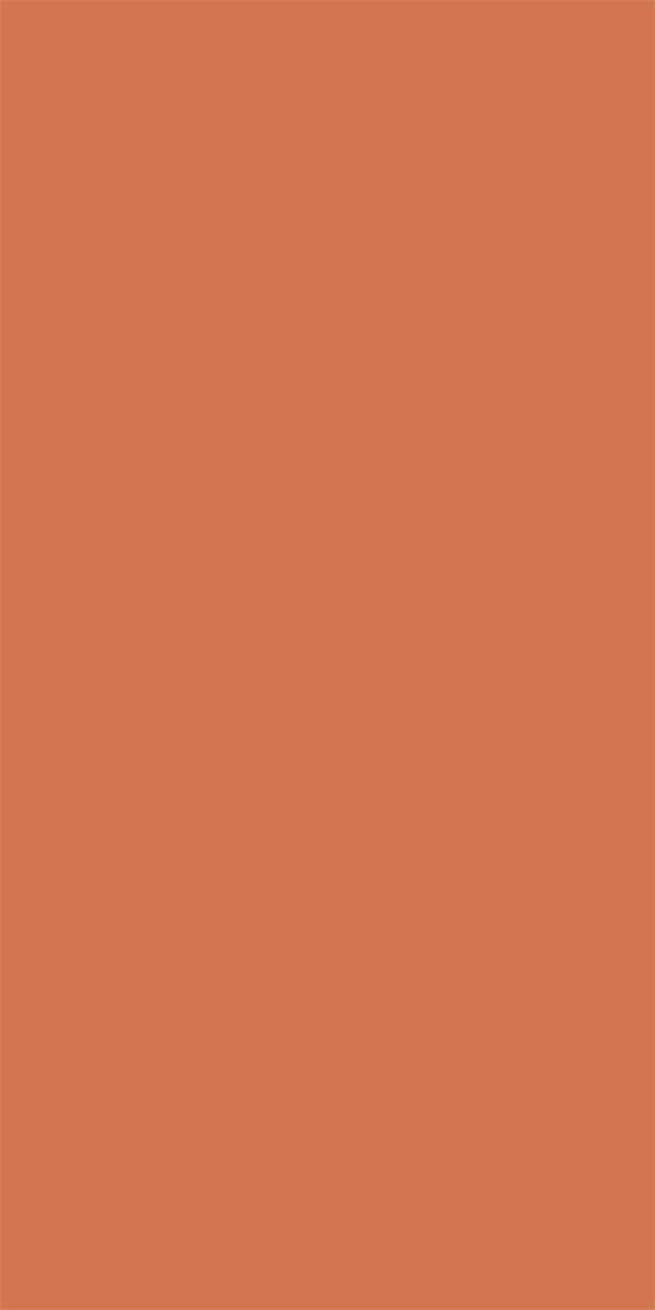 L8362Silky Matte Light Orange
