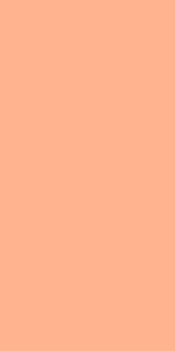 L8363Silky Matte Vanilla