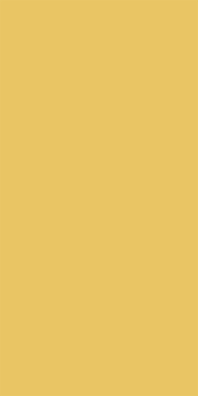 L8372Silky Matte Yellow Cream