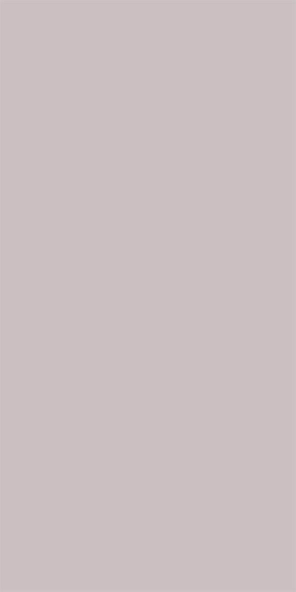 L8512Silky Matte Titanium Silver
