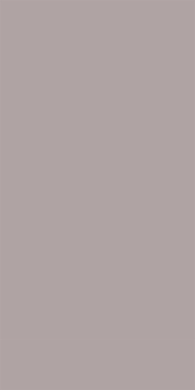 L8561Sandblasted Shimmering Metallic Silver