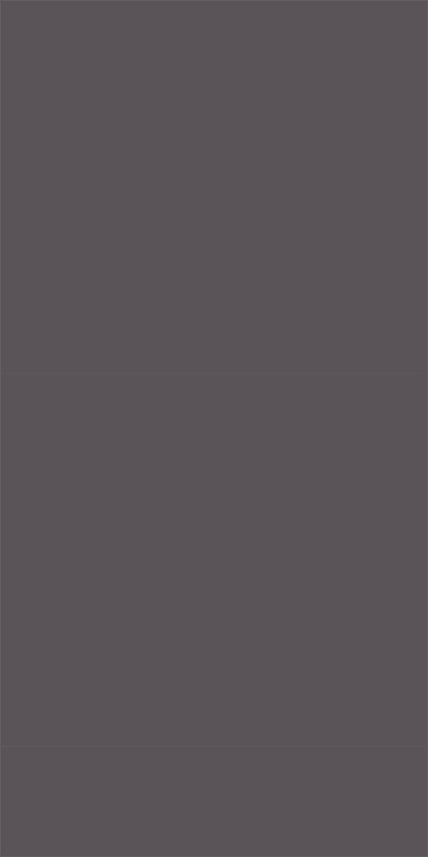 L8569Sandblasted Shimmering Dim Silver